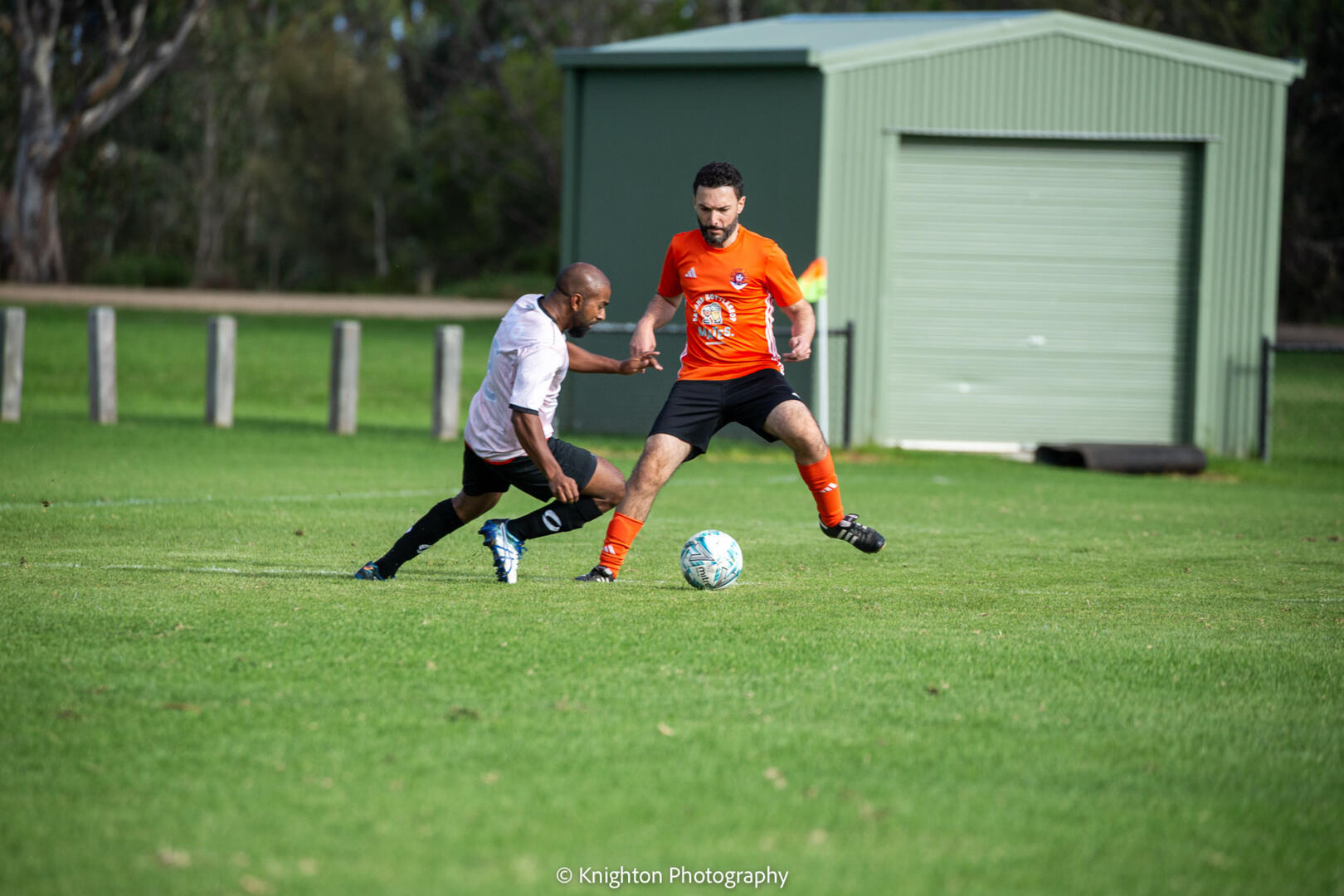 Masters in action 2 Masters in action 2